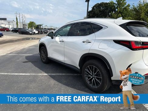 Used 2024 Lexus NX 350 AWD image 3