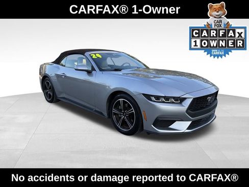 Used 2024 Ford Mustang Premium image 2