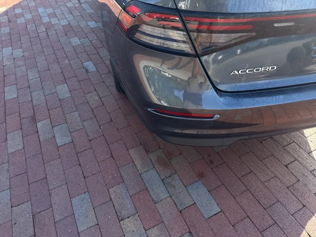 Certified 2024 Honda Accord EX image 11