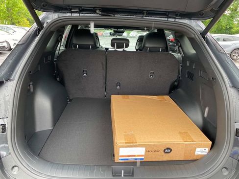 New 2026 Kia Sportage X-Line w/ X-Line Technology Package image 5