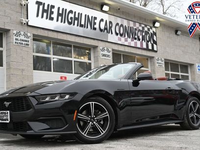 Used 2024 Ford Mustang Premium