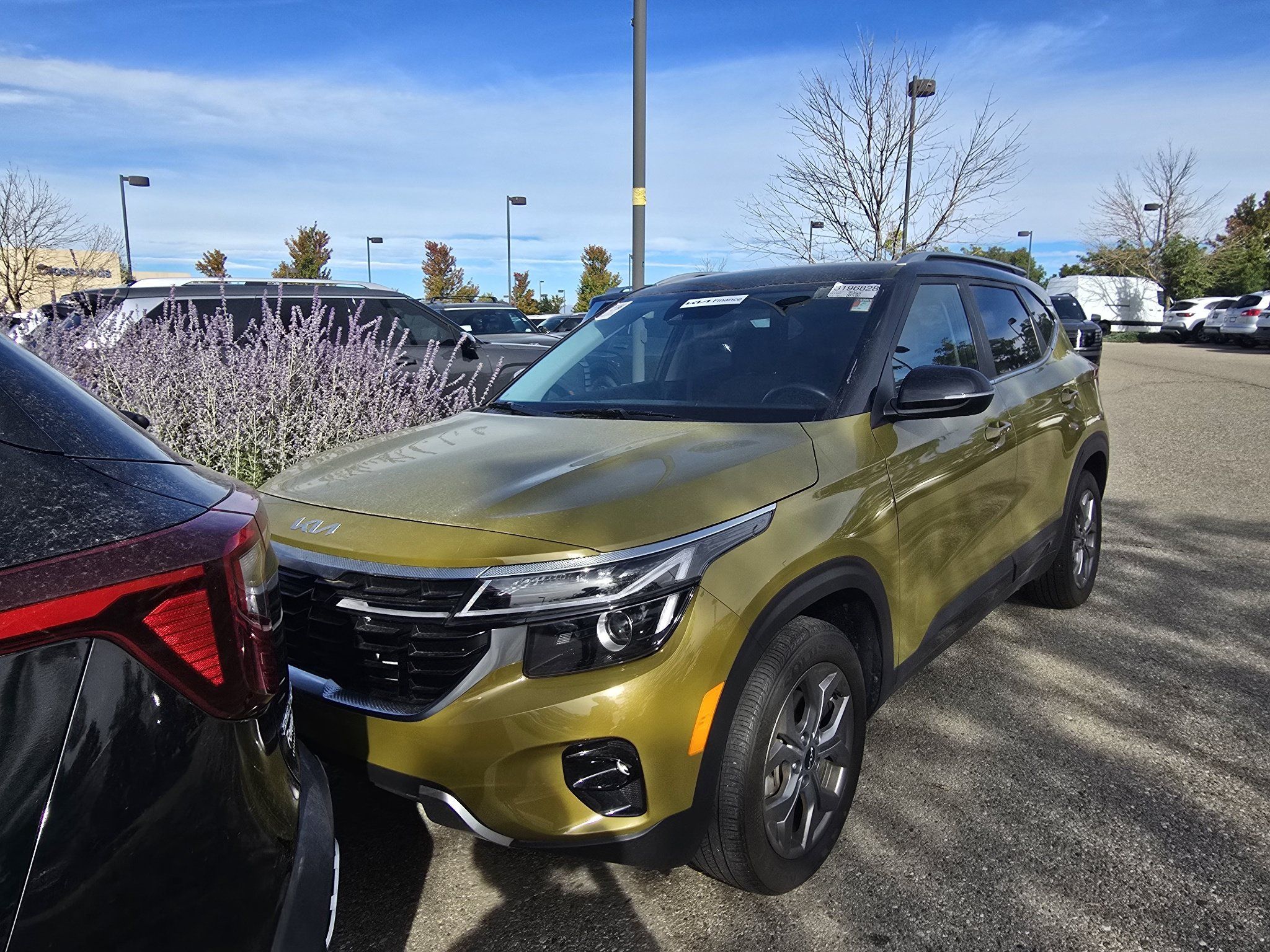 Used 2024 Kia Seltos S AWD/4WD image 1