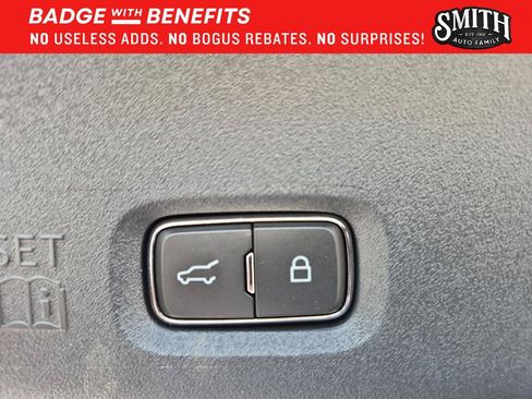 Used 2025 Ford Expedition Platinum w/ Platinum Ultimate Package AWD/4WD image 20