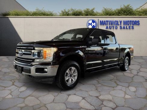Used 2019 Ford F150 XLT w/ Equipment Group 301A Mid image 7