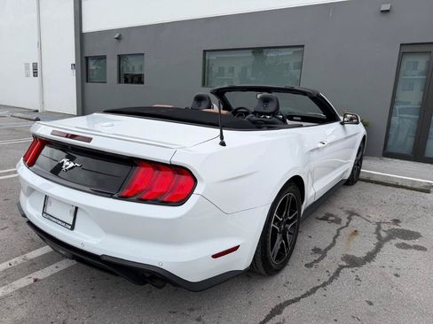 Used 2019 Ford Mustang Premium RWD image 14