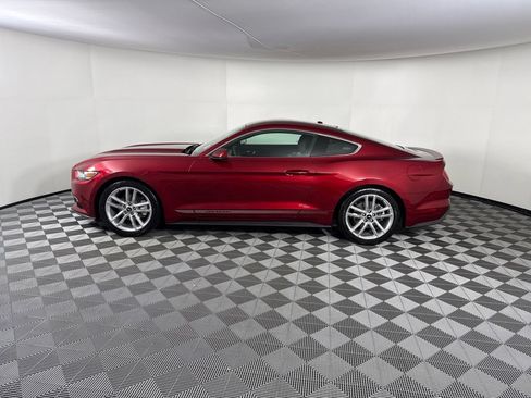 Used 2017 Ford Mustang Premium w/ Equipment Group 201A RWD image 2