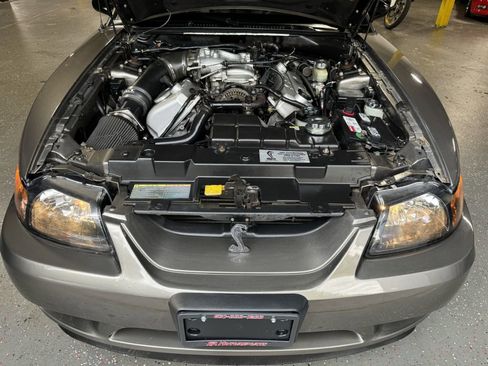 Used 2001 Ford Mustang Cobra image 11