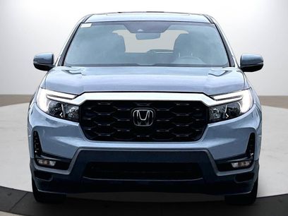 Used 2025 Honda Passport EX-L