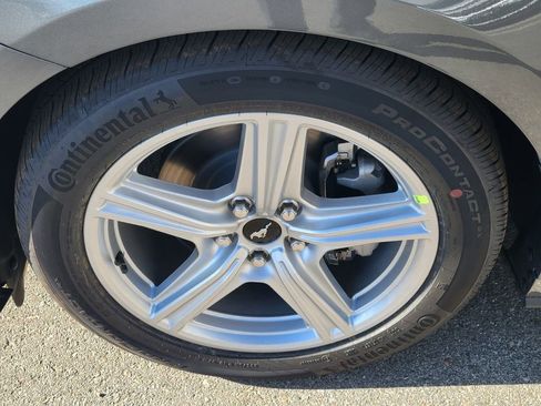 New 2026 Ford Mustang Coupe image 6