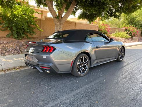 Used 2025 Ford Mustang Premium RWD image 3