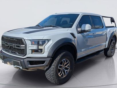 Used 2017 Ford F150 Raptor w/ Equipment Group 802A Luxury