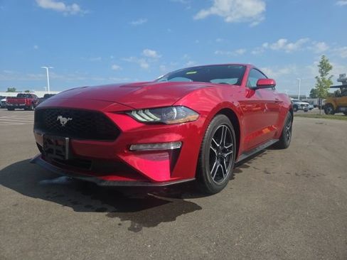 Used 2023 Ford Mustang Coupe w/ Equipment Group 101A RWD image 2