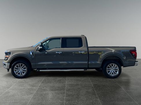 Used 2025 Ford F150 XLT w/ Equipment Group 303A High AWD/4WD image 5