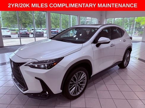 Certified 2025 Lexus NX 350h AWD w/ Accessory Package (K3) image 3