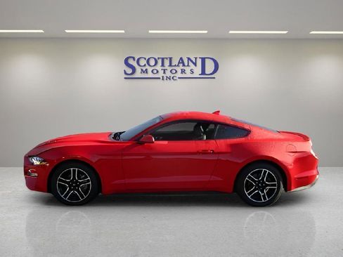 Used 2022 Ford Mustang Premium image 1