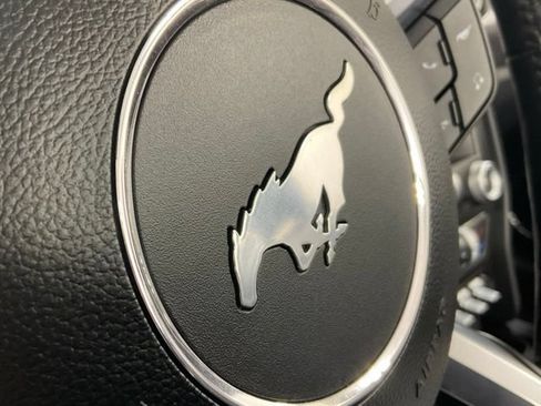 Used 2021 Ford Mustang GT Premium w/ Equipment Group 401A RWD image 37