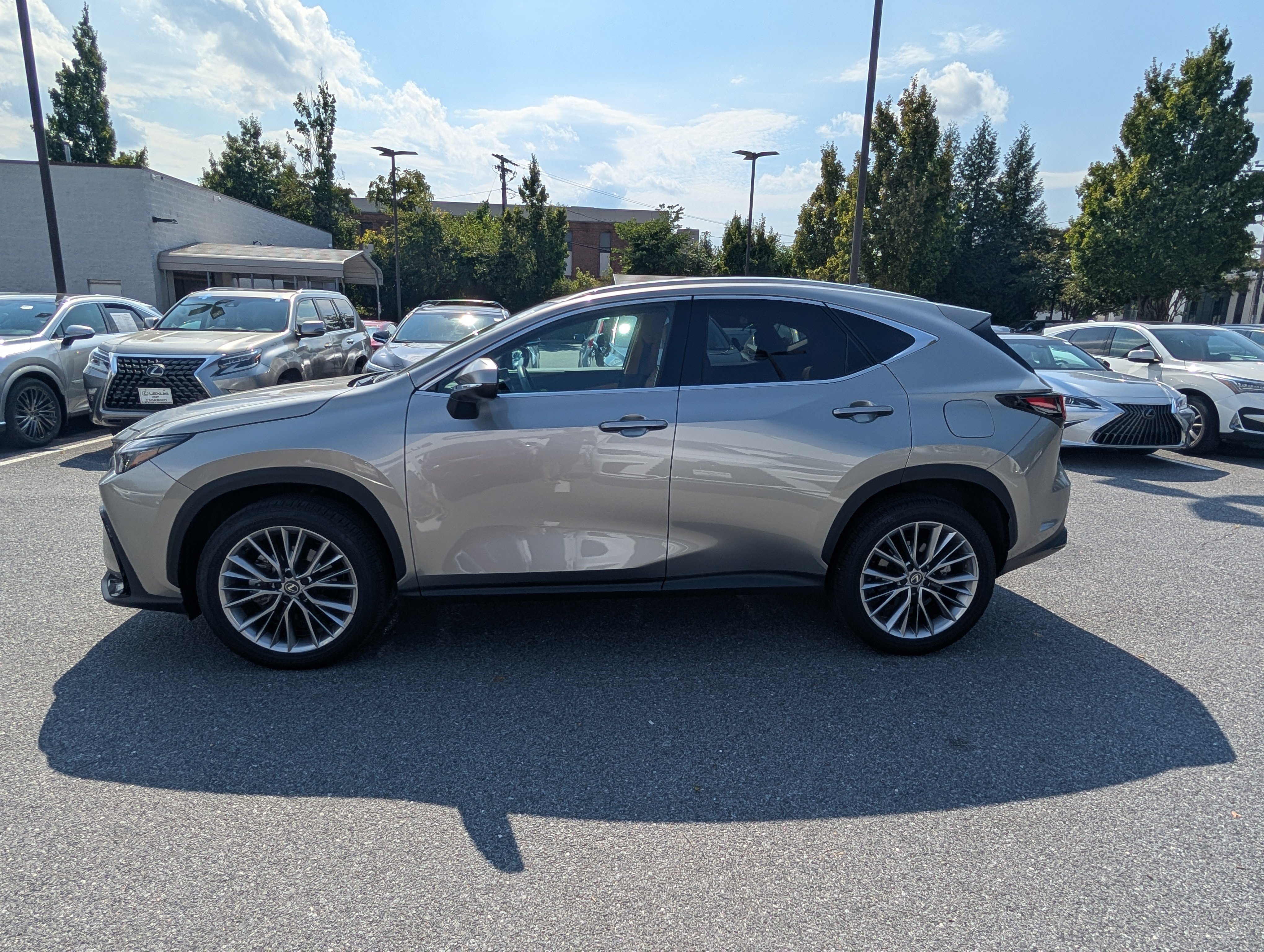 Certified 2026 Lexus NX 350 AWD w/ Accessory Package (2T) image 6