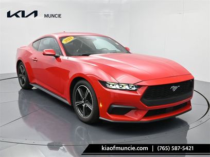 Used 2024 Ford Mustang Premium