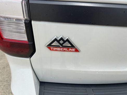 Used 2022 Ford Expedition Timberline AWD/4WD image 31