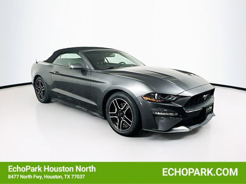 Used 2019 Ford Mustang Premium image 1