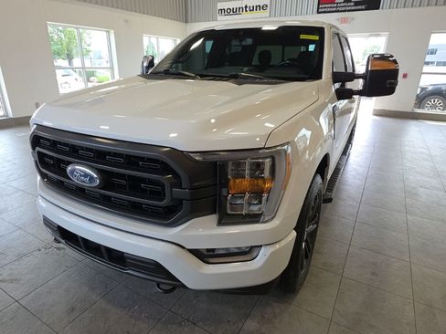 Used 2021 Ford F150 XLT w/ Equipment Group 302A High AWD/4WD image 2