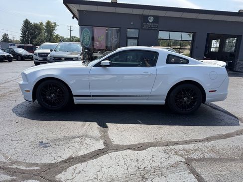 Used 2014 Ford Mustang Premium w/ Equipment Group 203A RWD image 3