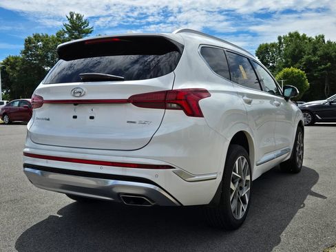 Used 2023 Hyundai Santa Fe Calligraphy AWD/4WD image 6