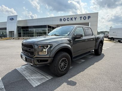 Used 2019 Ford F150 Raptor w/ Equipment Group 802A Luxury