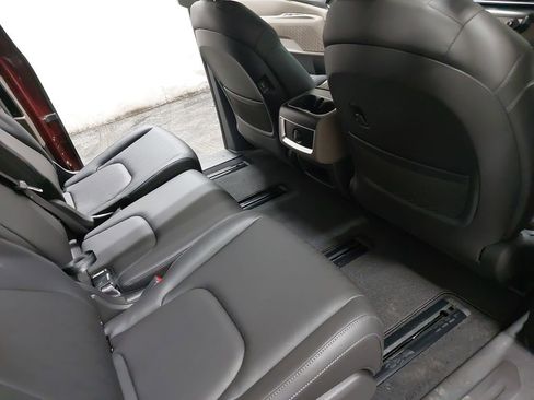 New 2026 Kia Carnival LXS image 11