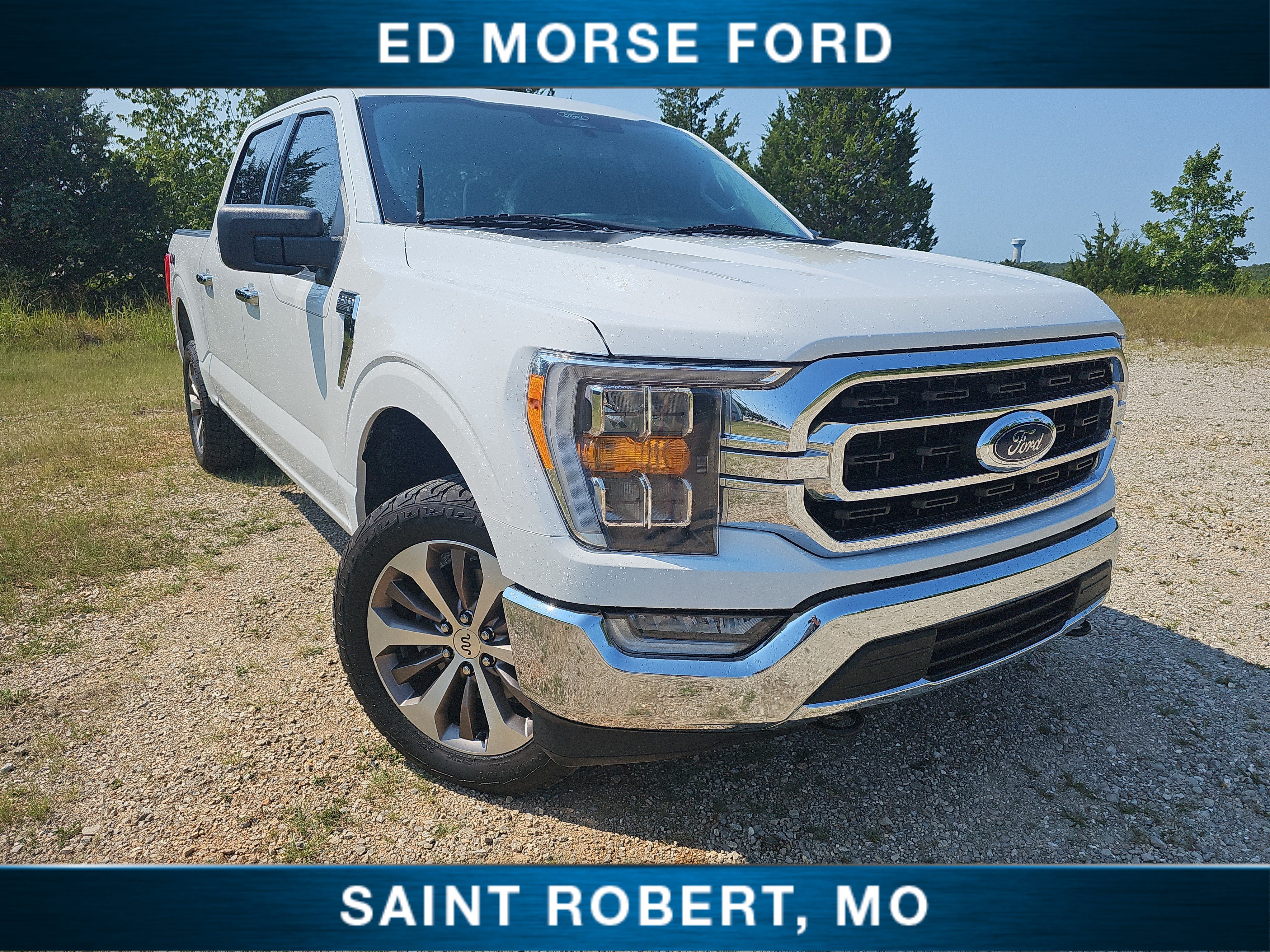Used 2022 Ford F150 XLT w/ Equipment Group 302A High AWD/4WD image 1