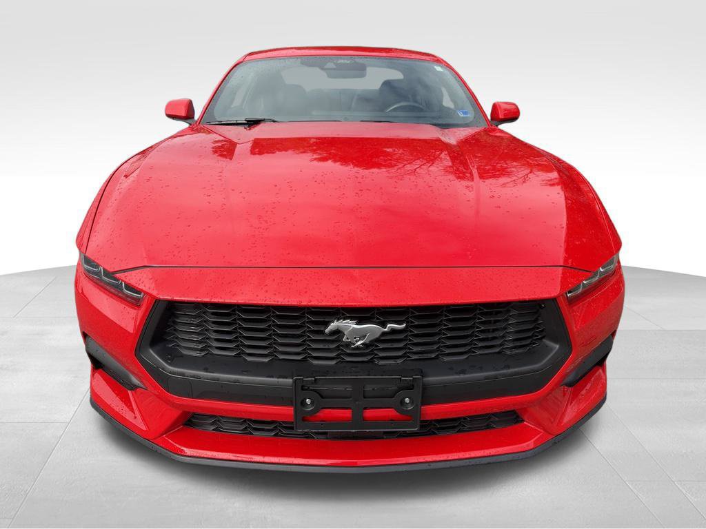 Used 2024 Ford Mustang Premium RWD image 15
