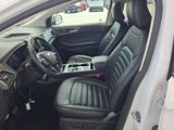 Used 2024 Ford Edge SEL image 5