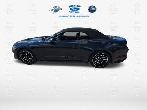 Used 2021 Ford Mustang Premium RWD image 6