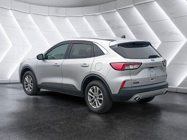 Used 2020 Ford Escape SE AWD/4WD image 4