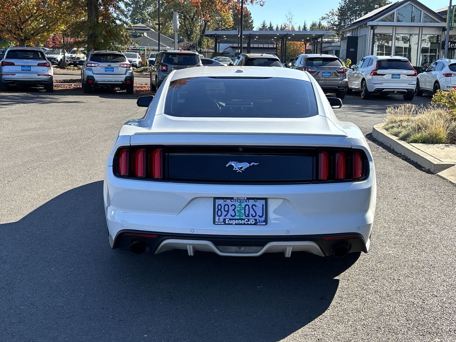 Used 2016 Ford Mustang Premium w/ Equipment Group 201A RWD image 4