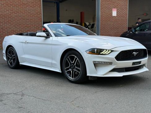 Used 2022 Ford Mustang Premium w/ Equipment Group 201A image 6