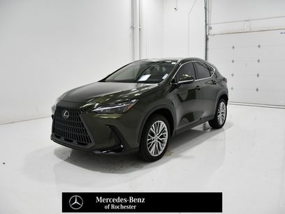Used 2025 Lexus NX 350h AWD w/ Premium Package