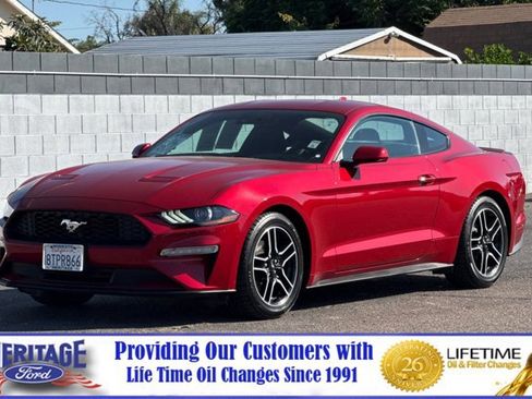 Used 2020 Ford Mustang Coupe w/ Equipment Group 101A RWD image 8