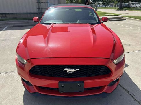 Used 2017 Ford Mustang Premium image 2