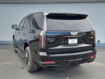 New 2026 Cadillac Escalade Platinum Sport w/ LPO, ONYX Package