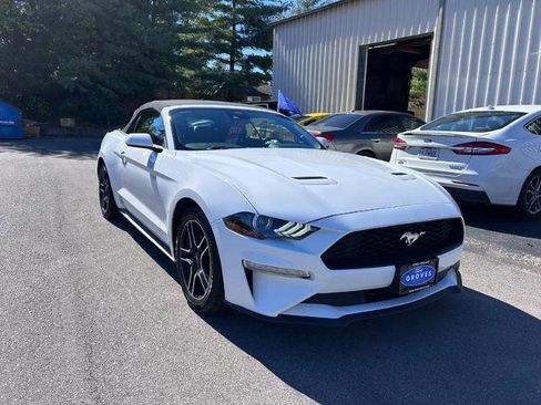 Certified 2023 Ford Mustang Premium image 3