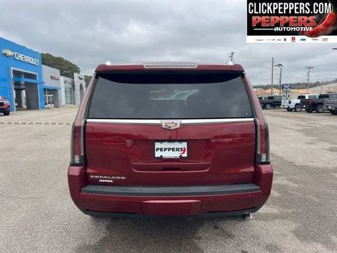 Used 2020 Cadillac Escalade Luxury image 5
