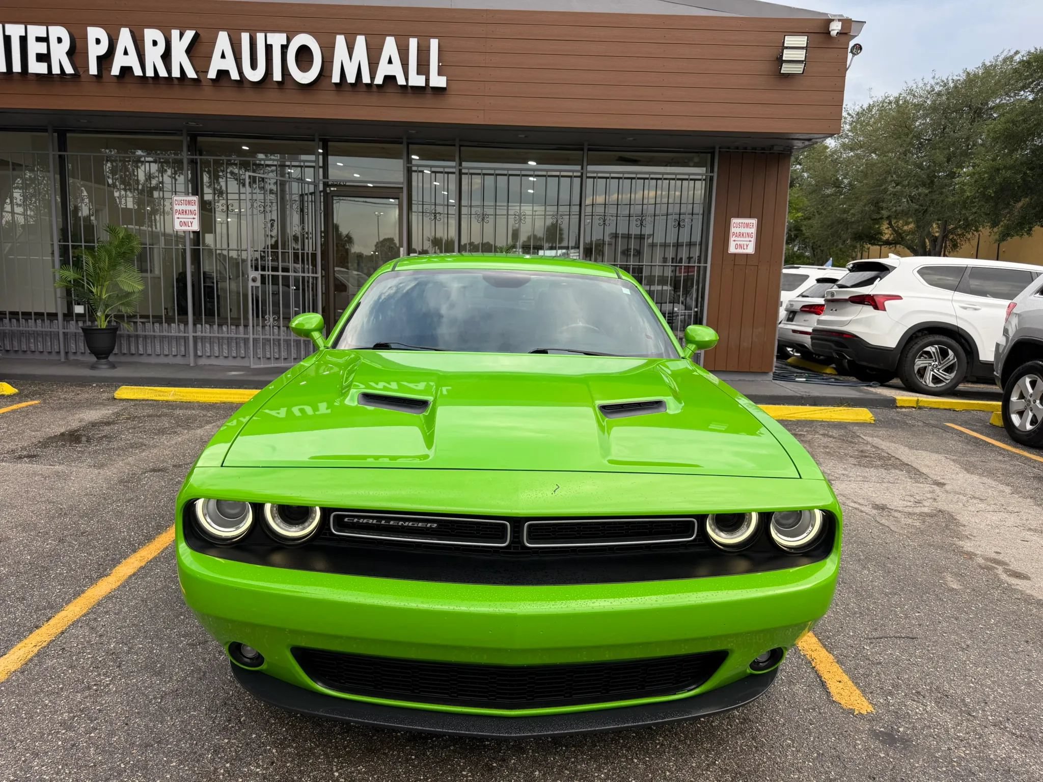 Used 2017 Dodge Challenger SXT Plus RWD image 2