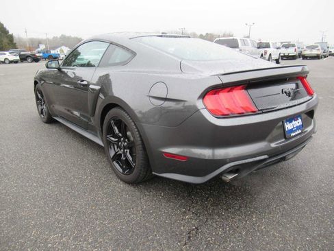 Used 2018 Ford Mustang EcoBoost w/ Equipment Group 101A image 7