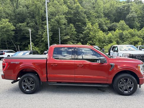 Used 2023 Ford F150 XLT w/ Equipment Group 302A High AWD/4WD image 3