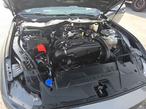 Certified 2025 Ford Mustang Premium image 15