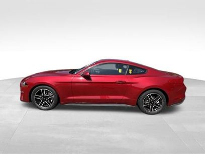 Used 2022 Ford Mustang Coupe w/ Equipment Group 101A