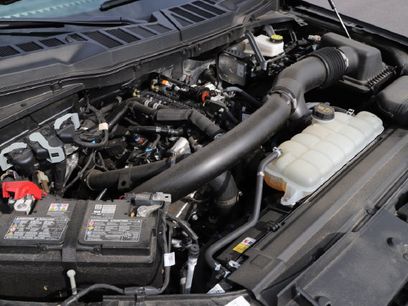 Used 2025 Ford F150 XLT w/ Equipment Group 301A Standard