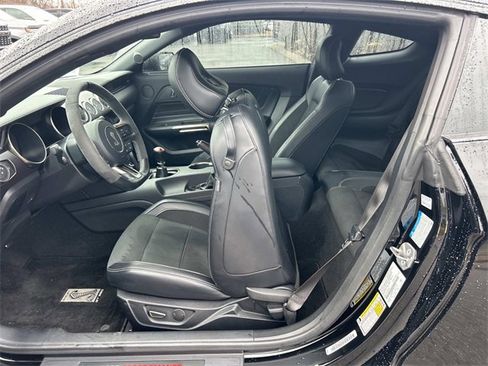 Used 2017 Ford Mustang Shelby GT350 image 18