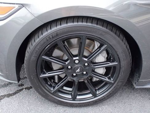 Used 2016 Ford Mustang GT Premium w/ Equipment Group 401A RWD image 10
